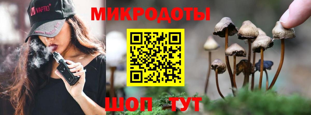 Вольск  Галлюциногенные грибы Magic Shrooms  Вход с VPN 